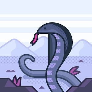 Meet your Posher, Bella